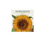 CALENDARIO 2027 da parete HERBARIUM quadrato LEGAMI cm30x30
