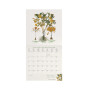 CALENDARIO 2027 da parete HERBARIUM quadrato LEGAMI cm30x30