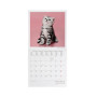 CALENDARIO 2027 da parete KITTENS quadrato LEGAMI cm30x30