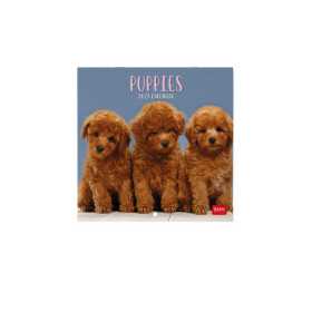 CALENDARIO 2027 da parete PUPPIES quadrato LEGAMI cm30x30