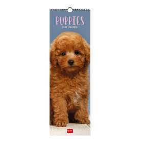 CALENDARIO 2027 da parete PUPPIES legami VERTICALE cm16x49