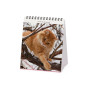 CALENDARIO 2027 da tavolo CATS legami PER SCRIVANIA cm12x14,5
