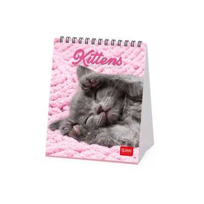 CALENDARIO 2027 da tavolo KITTENS legami PER SCRIVANIA cm12x14,5