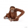 ORANGOTANGO FEMMINA animali in resina SCHLEICH Wild Life 14775 ORANGUTAN FEMALE braccio orientabile