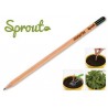 Sprout MATITA in legno CHE SI PIANTA capsula CON SEME per far crescere una pianta di CORIANDOLO