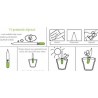 Sprout MATITA in legno CHE SI PIANTA capsula CON SEME per far crescere una pianta di CORIANDOLO