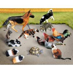 Animali domestici