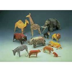 Animali dello zoo