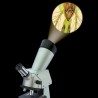 MICROSCOPIO A DUE VIE set con visore e proiettore EDU-TOYS 3 ottiche di precisione per bambini