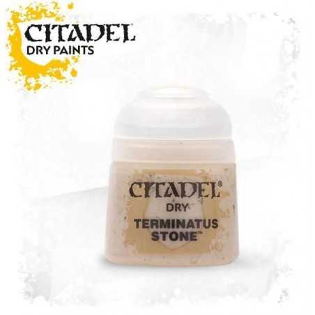 TERMINATUS STONE colore DRY Citadel WARHAMMER Games Workshop GRIGIO 12 ml