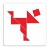 Tangram in legno con 125 figure e soluzioni - Djeco dj08470