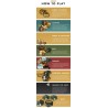 THE ISLAND OF EL DORADO Kickstarter first edition strategic board game Black Box