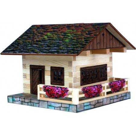Chalet alpino