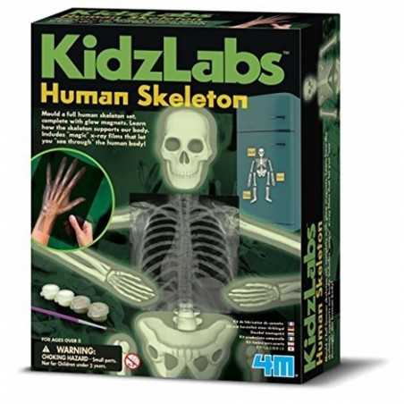 SCHELETRO UMANO fosforescente GLOW HUMAN SKELETON kit scientifico 4M kidz labs set GIOCO età 8+