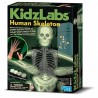 SCHELETRO UMANO fosforescente GLOW HUMAN SKELETON kit scientifico 4M kidz labs set GIOCO età 8+