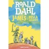 JAMES E LA PESCA GIGANTE roald dahl SALANI libro per RAGAZZI classico BAMBINI età 7+ salani - 1