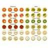Pizza Party - Pizza Theory Ferti games - 1