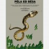 PELA ED BESA pantaleoni taparelli INCONTRI EDITRICE credenze CULTURA POPOLARE EMILIANA INCONTRI EDITRICE - 1