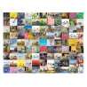 PUZZLE ravensburger 99 BICICLETTE E ALTRO original quality 1500 PEZZI 80 x 60 cm AND MORE Ravensburger - 2