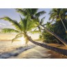 PUZZLE ravensburger SPIAGGIA SEGRETA original quality 1500 PEZZI 80 x 60 cm BEACH HIDEAWAY Ravensburger - 1
