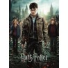 PUZZLE 300 PEZZI XXL ravensburger HARRY POTTER E I DONI DELLA MORTE 2 verticale 36 X 49 CM età 9+ Ravensburger - 2