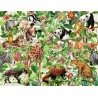 PUZZLE ravensburger GIUNGLA premium 2000 PEZZI 98 x 75 cm JUNGLE