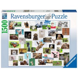 PUZZLE ravensburger COLLAGE ANIMALI premium 1500 PEZZI 80 x 60 cm