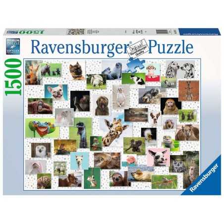 PUZZLE ravensburger COLLAGE ANIMALI premium 1500 PEZZI 80 x 60 cm Ravensburger - 1