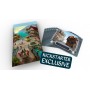MERCHANTS COVE Kickstarter edition with Stretch Goals and Secret Stash expansion - 4