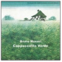 CAPPUCCETTO VERDE libro BRUNO MUNARI illustrato CORRAINI EDIZIONI età 5+ EDIZIONI CORRAINI - 1