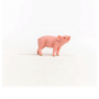 MAIALINO miniatura SCHLEICH in resina FARM WORLD animali 13934 età 3+ Schleich - 5