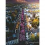 PUZZLE ravensburger BONN IN FIORE originale 1500 PEZZI softclick 80 X 60 CM Ravensburger - 2