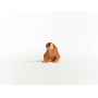SLOW LORIS lori lento PRIMATE wild life SCHLEICH miniatura in resina 14852 età 3+ Schleich - 3