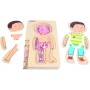 PUZZLE IN LEGNO 5 livelli CORPO UMANO età 4+ BAMBINO Beleduc Beleduc - 3