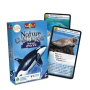 ANIMALI MARINI mazzo di carte NATURE CHALLENGE bioviva IN ITALIANO età 7+ Bioviva - 2