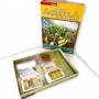 CONTADINI DELLA BRUGHIERA espansione per AGRICOLA asmodee IN ITALIANO età 12+ Asmodee - 2