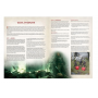 BATTLE COMPANIES middle earth STRATEGY BATTLE GAME manuale IN INGLESE Games Workshop - 5