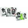 GRIMACES gioco di carte Djeco Smorfie DJ05169