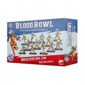 AMAZON BLOOD BOWL TEAM kara temple harpies BLOOD BOWL set di 12 miniature WARHAMMER età 12+ Games Workshop - 1