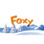 FOXY gioco di memoria PARTY GAME gate on games IN ITALIANO età 8+ GateOnGames - 4