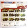 CHAMPIONSHIP espansione per RALLYMAN GT raven distribution EDIZIONE ITALIANA gioco da tavolo ROLL AND MOVE età 14+ Raven Distrib