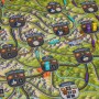 IMPERIAL STEAM gioco da tavolo IN ITALIANO tesla games FERROVIE età 12+ TESLA GAMES - 3