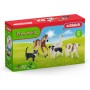 ANIMALI ASSORTITI miniature in resina FARM WORLD gioco FATTORIA Schleich 42386 età 3+ Schleich - 2