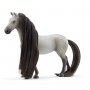 STARTER SET miniature in resina SOFIA & DUSTY con criniera HORSE CLUB sofias beauty SCHLEICH 42584 età 4+ Schleich - 10