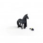 GIUMENTA CRIOLLO miniatura in resina HORSE CLUB sofia's beauties SCHLEICH 42581 età 4+ Schleich - 8