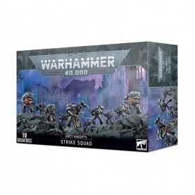 STRIKE SQUAD set di 10 miniature GREY KNIGHTS warhammer 40k CITADEL età 12+