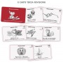 EDITO deck PER EDITING sefirot MAZZO DI 41 CARTE fabula IN ITALIANO SEFIROT SRL - 9