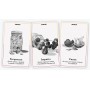 EDITO deck PER EDITING sefirot MAZZO DI 41 CARTE fabula IN ITALIANO SEFIROT SRL - 10