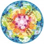 PUZZLE ravensburger CIRCLE OF COLORS circolare GELATI originale 500 PEZZI diametro 52 CM Ravensburger - 2