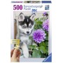 PUZZLE ravensburger TENERO HUSKY originale 500 PEZZI grandi MAXI cm 61 x 46 Ravensburger - 1